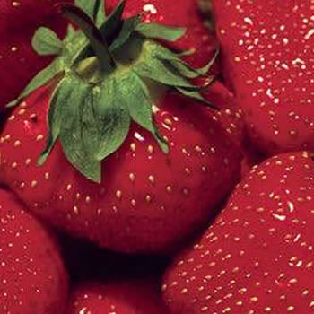fruit cart strawberry