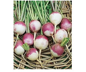 veggie cart turnips